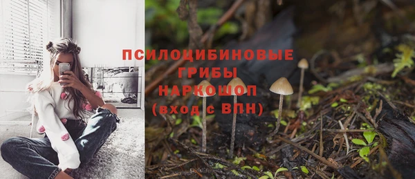 прущий лед Абаза