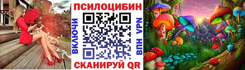 Псилоцибиновые грибы Psilocybe  Лукоянов 